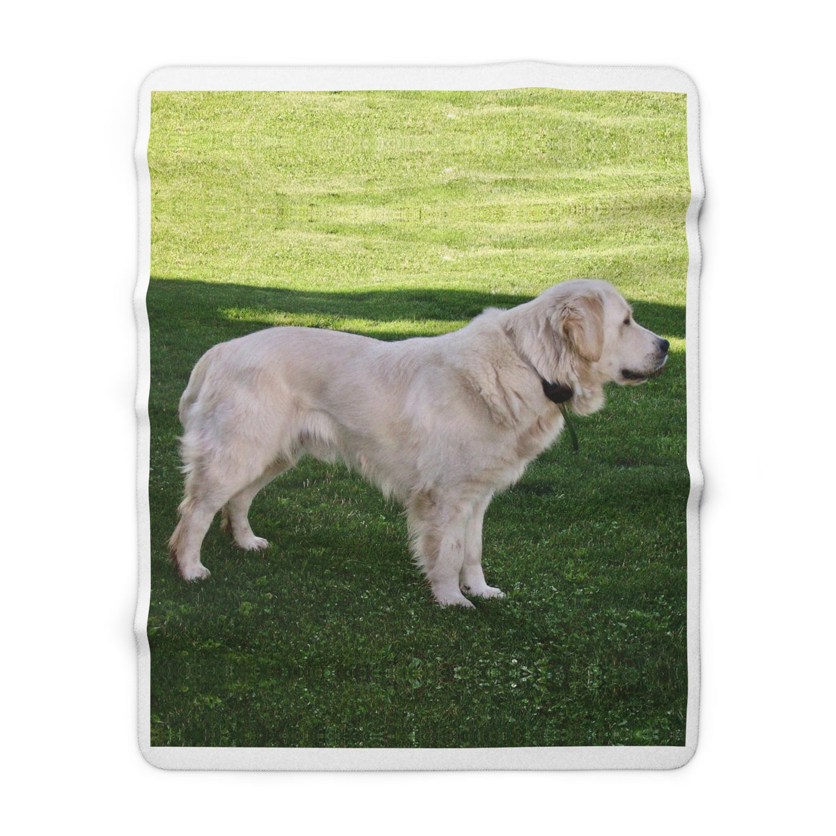 Personalized Pet Photo Blanket – Custom Dog & Cat Fleece Throw