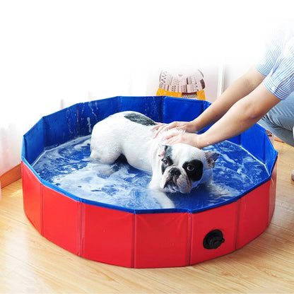 Faltbarer Tier-Swimmingpool